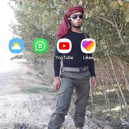 Albab *